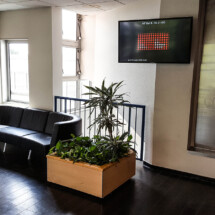 Afficheur Slim 46'' COTEP - gamme indoor (EM Lyon Business School, Campus Ecully)