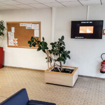 Afficheur Slim 46'' COTEP - gamme indoor (EM Lyon Business School, Campus Ecully)